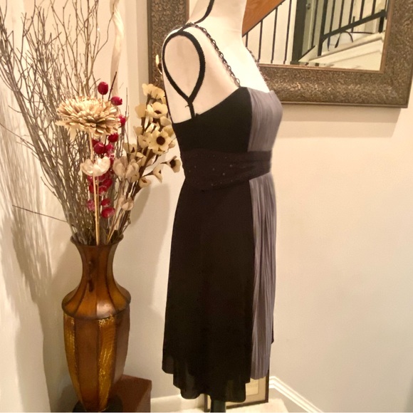 BCBG Max Azaria 🩶🖤Size 4. Beautiful unique Dress 🩶🖤 Fine Pleats & Chains🩶🖤 - Picture 5 of 13